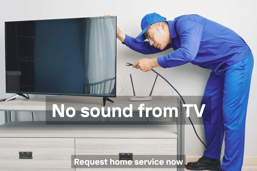 TV with no sound playing while picture works, audio issue
